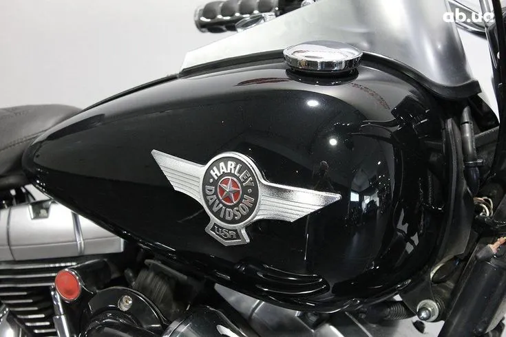 Harley-Davidson FLSTF Image 5